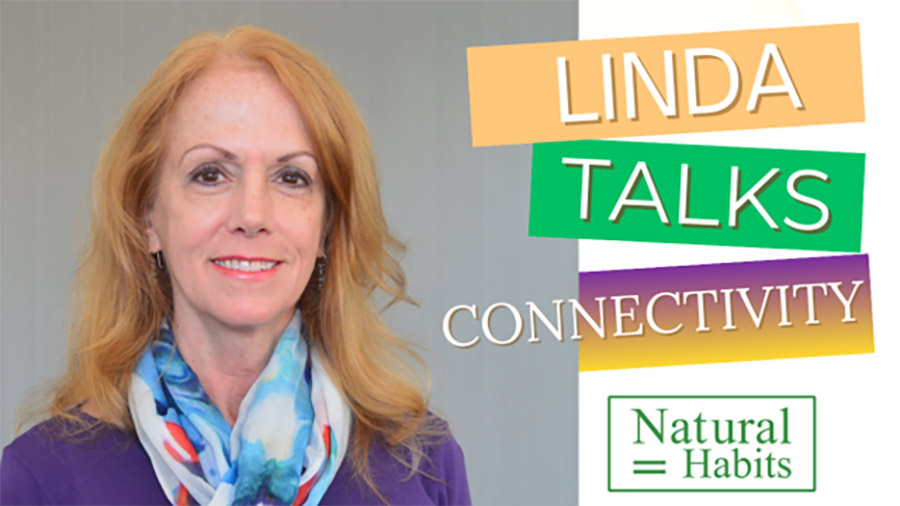 Telecom Profit Optimization Consultant